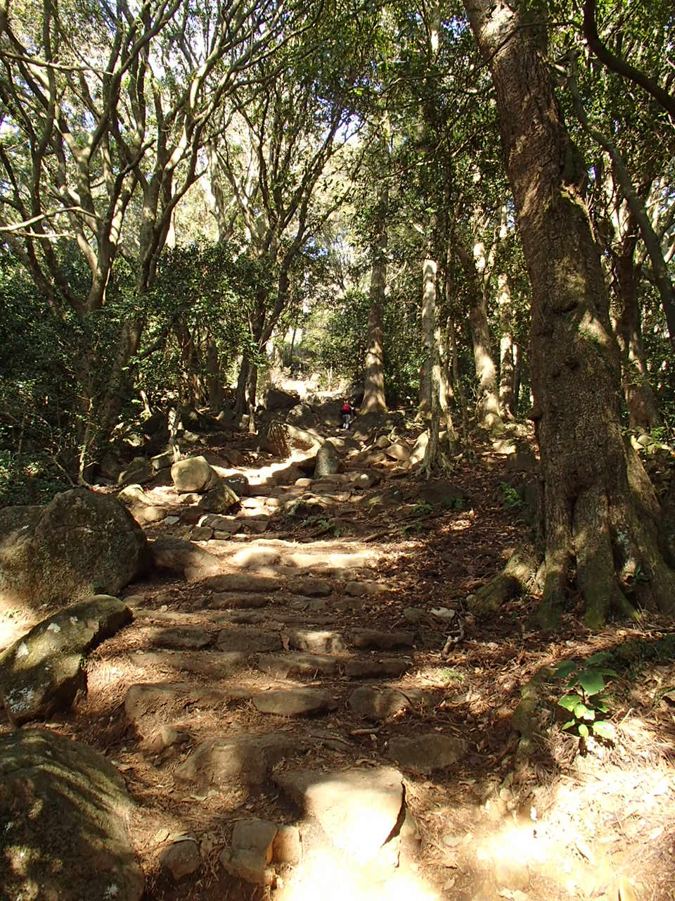 b0276758_15122733.jpg