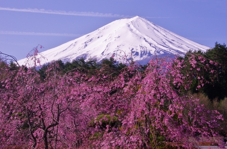 最新富士山の撮影記録_d0229560_9789.jpg