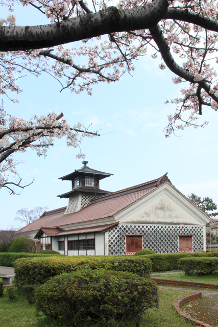 旧新潟税関庁舎の桜_a0267861_1955298.jpg