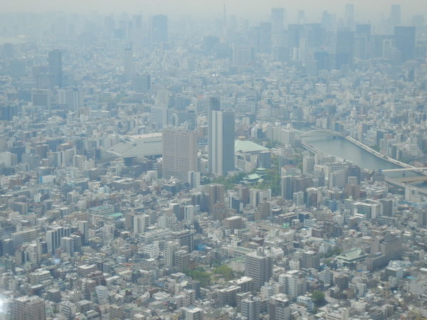 ’13,4,24(水)スカイツリーはとても楽しかったよ~!_f0060461_1637769.jpg