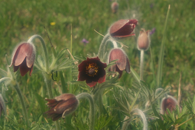 c0092263_84360.jpg