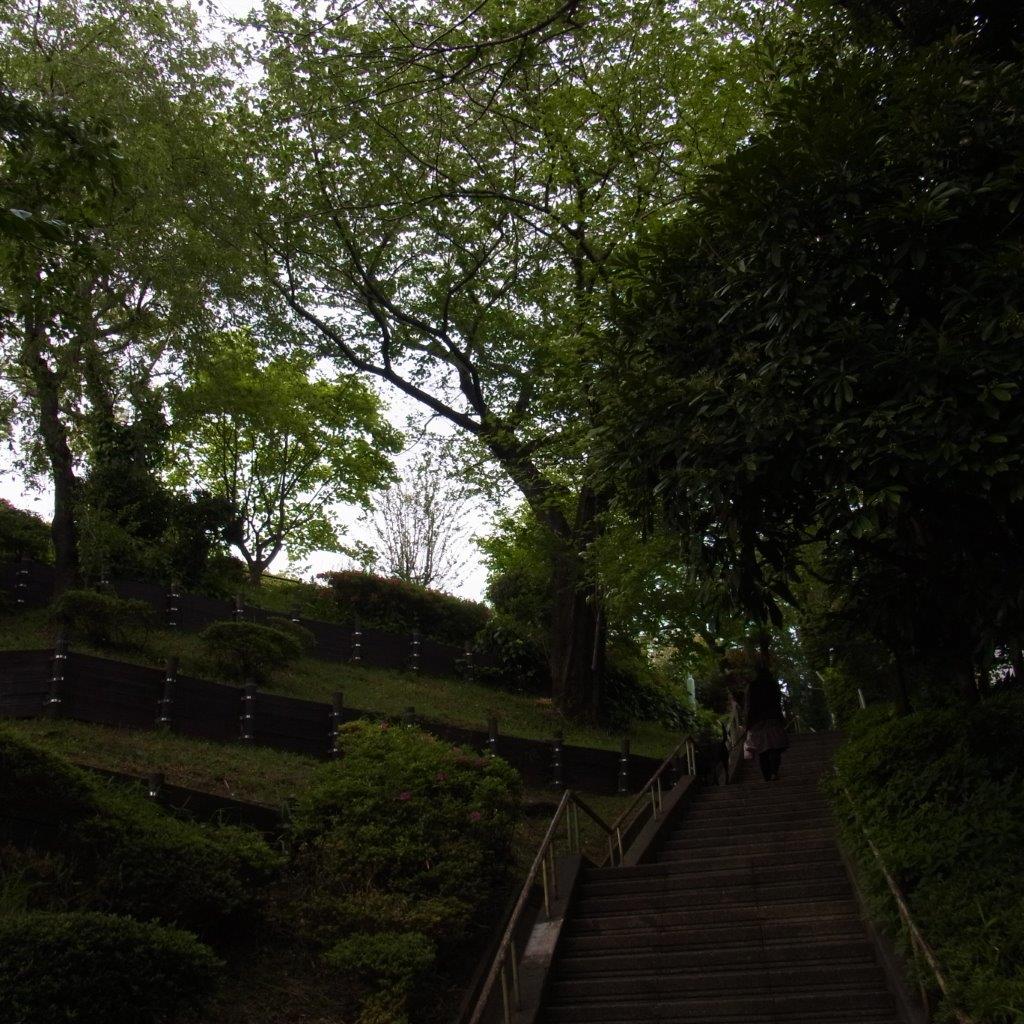 a0123465_094590.jpg