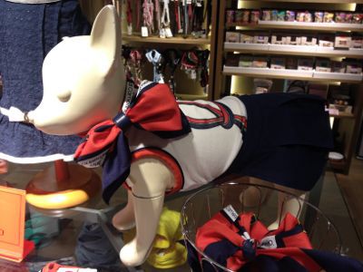 ロベルタ ディ カメリーノの 犬猫服☆_c0151965_1111218.jpg