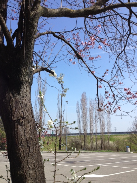 23/04/2013 MilanoSaloneに行ってきた_a0136671_5195047.jpg