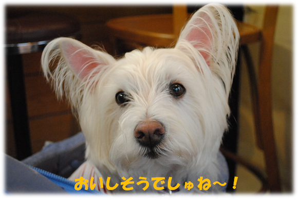 b0242873_20445937.png