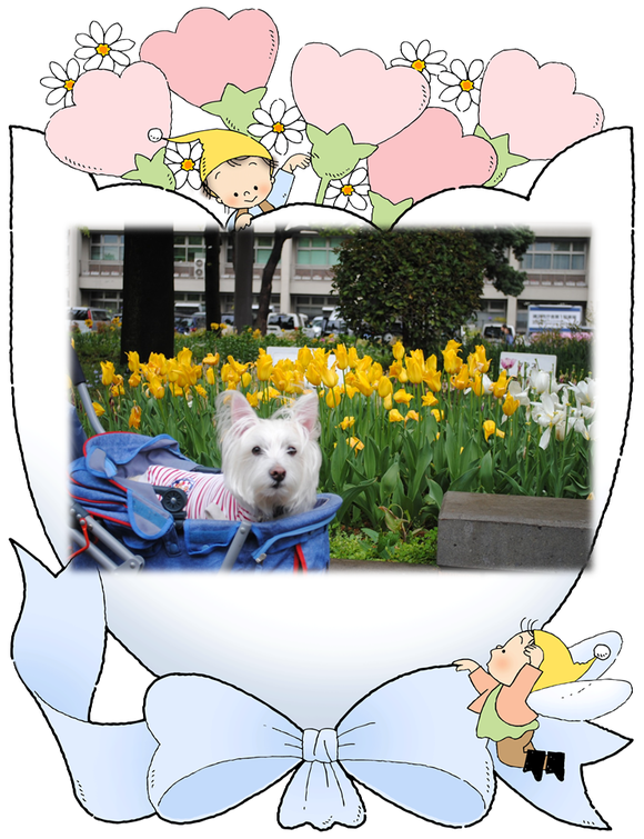 b0242873_21282598.png