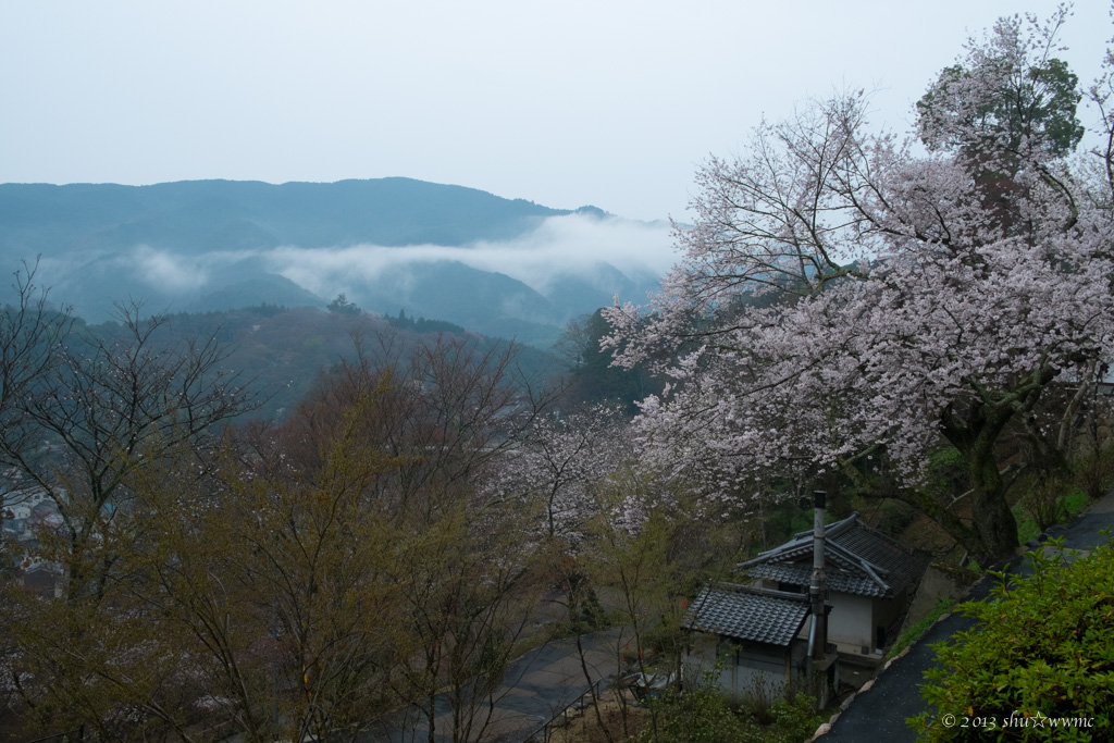 雨もよう初瀬山：5：霧の山なみ_a0142976_16262472.jpg