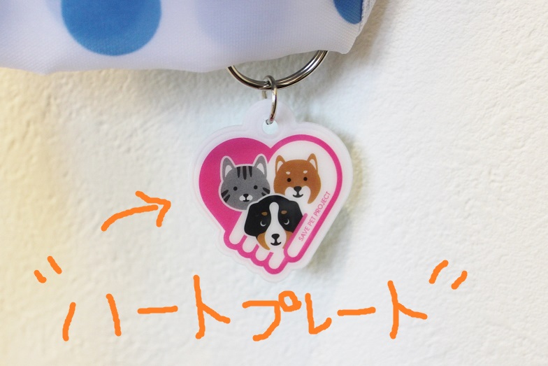 フロントラインのオマケ。_c0245679_1037314.jpg