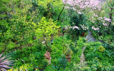 4月２６，２７日 アメージング村_a0175282_22451829.jpg