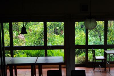 4月２６，２７日 アメージング村_a0175282_22451939.jpg