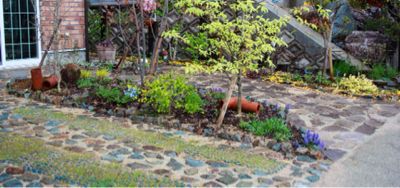 4月２６，２７日 アメージング村_a0175282_22452538.jpg