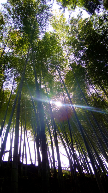 2013/04/04　町石道ー高野山　Choishimichi-Koyasan Trail Session with Joe Grant_b0220886_21401067.jpg