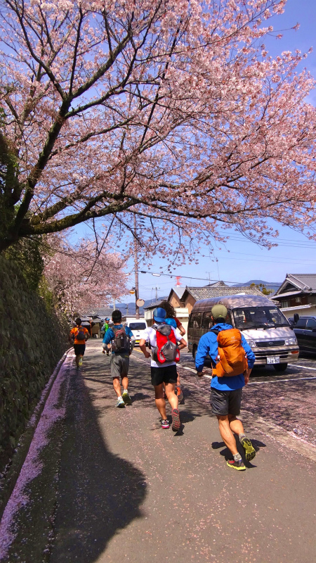 2013/04/04　町石道ー高野山　Choishimichi-Koyasan Trail Session with Joe Grant_b0220886_21592236.jpg