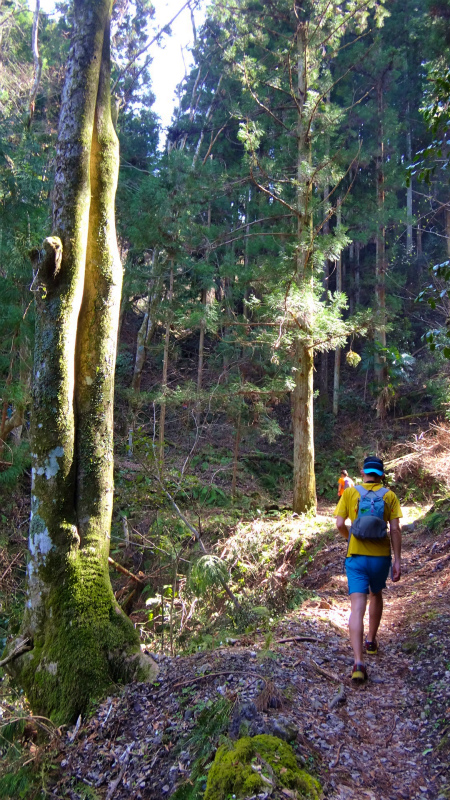 2013/04/04 町石道ー高野山 Choishimichi-Koyasan Trail Session with Joe Grant_b0220886_2231955.jpg