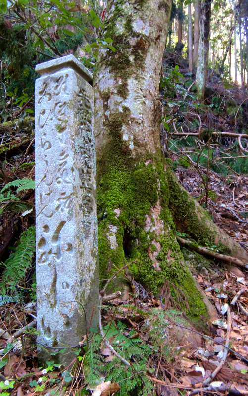 2013/04/04　町石道ー高野山　Choishimichi-Koyasan Trail Session with Joe Grant_b0220886_2233422.jpg