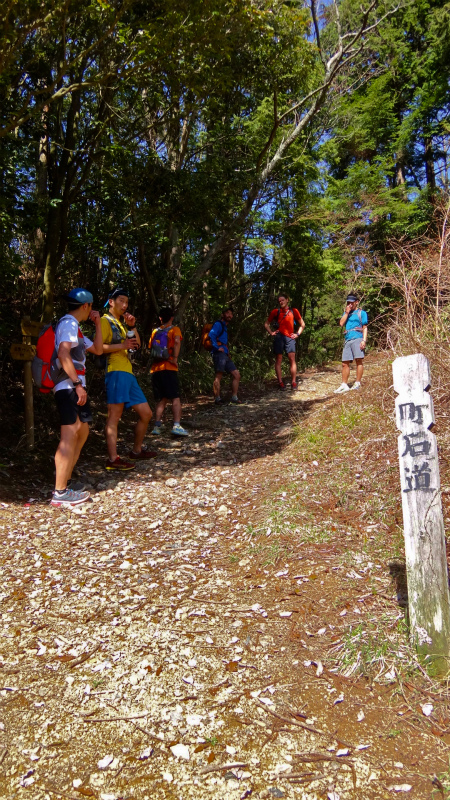 2013/04/04　町石道ー高野山　Choishimichi-Koyasan Trail Session with Joe Grant_b0220886_2234756.jpg