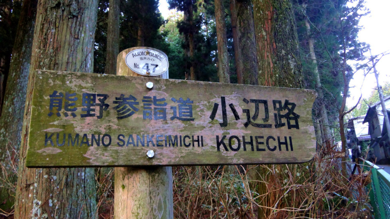 小辺路 Kohechi Trail Session with Joe Grant 2013/04/05　_b0220886_22375262.jpg