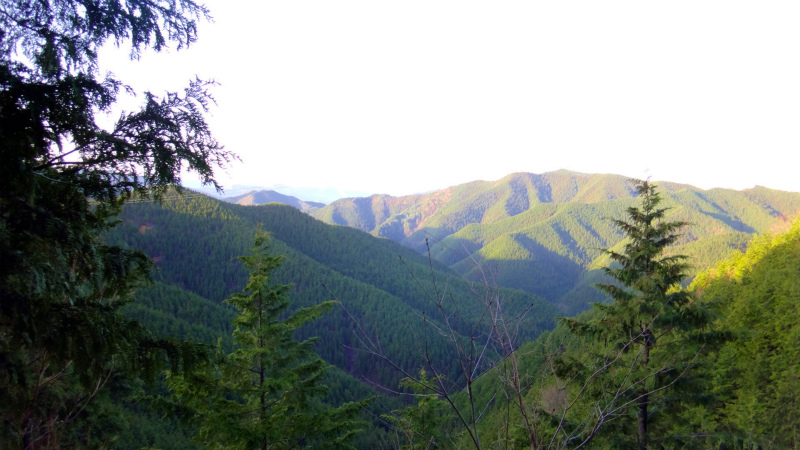 小辺路 Kohechi Trail Session with Joe Grant 2013/04/05 _b0220886_22382480.jpg