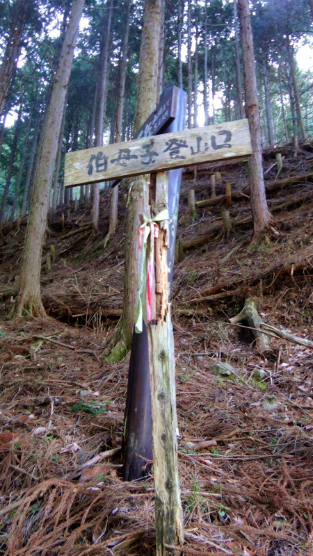 小辺路 Kohechi Trail Session with Joe Grant 2013/04/05　_b0220886_22533082.jpg