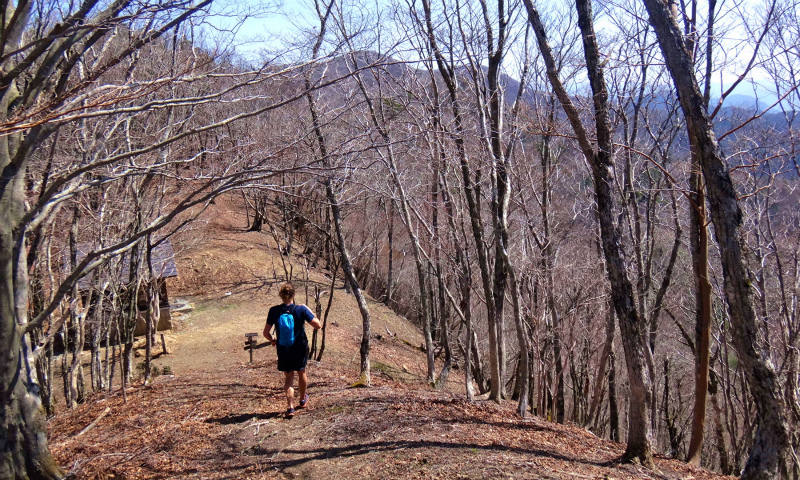 小辺路 Kohechi Trail Session with Joe Grant 2013/04/05 _b0220886_22545431.jpg