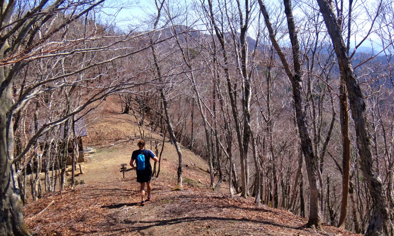 小辺路 Kohechi Trail Session with Joe Grant 2013/04/05　_b0220886_22545431.jpg