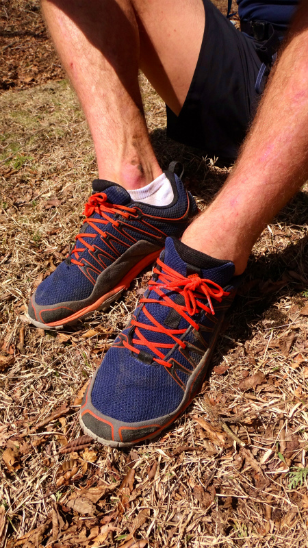 小辺路 Kohechi Trail Session with Joe Grant 2013/04/05 _b0220886_2255941.jpg