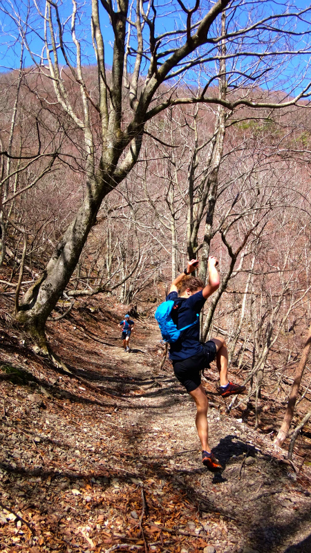 小辺路 Kohechi Trail Session with Joe Grant 2013/04/05 _b0220886_22564835.jpg