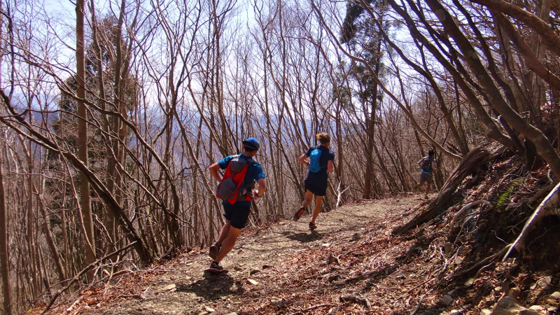 小辺路 Kohechi Trail Session with Joe Grant 2013/04/05　_b0220886_2257140.jpg