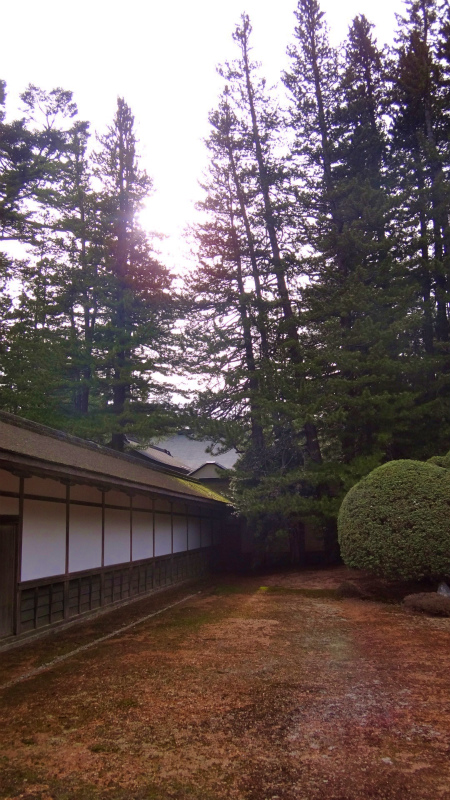 2013/04/04 町石道ー高野山 Choishimichi-Koyasan Trail Session with Joe Grant_b0220886_2294472.jpg