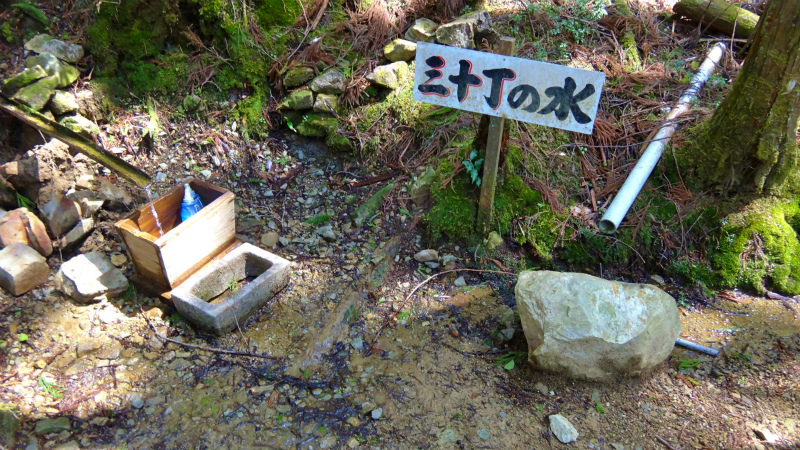 小辺路 Kohechi Trail Session with Joe Grant 2013/04/05 _b0220886_233377.jpg