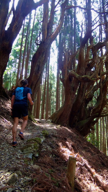 小辺路 Kohechi Trail Session with Joe Grant 2013/04/05 _b0220886_233410.jpg