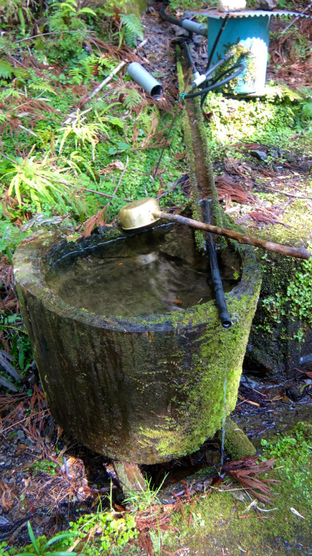 小辺路 Kohechi Trail Session with Joe Grant 2013/04/05 _b0220886_2342141.jpg