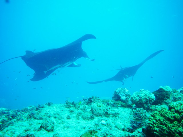 f0151886_17105967.jpg