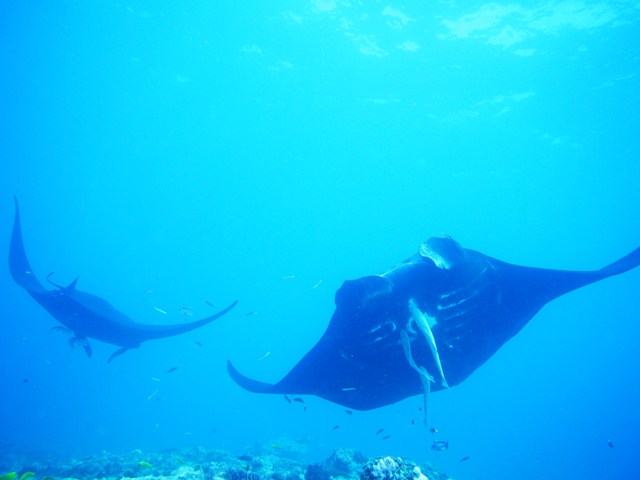 f0151886_17111431.jpg
