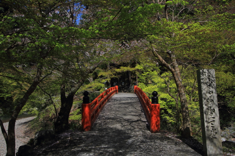 西明寺_e0051888_543576.jpg