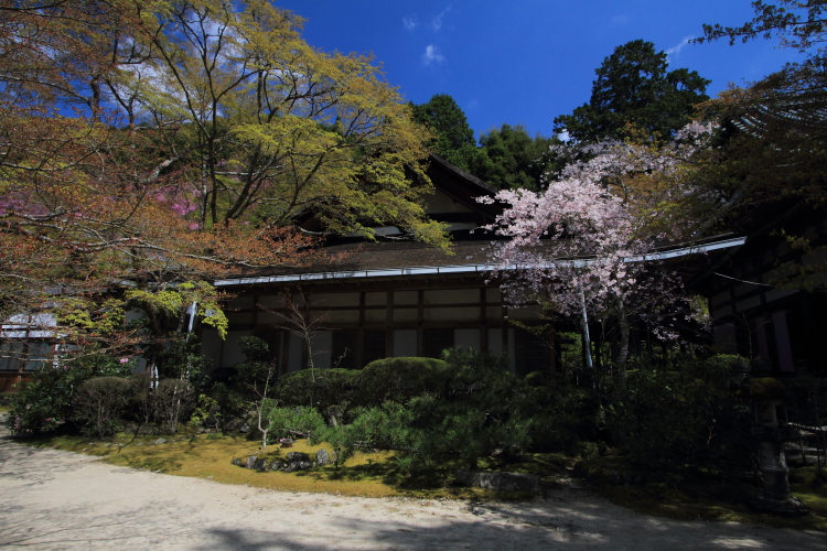 西明寺_e0051888_552146.jpg