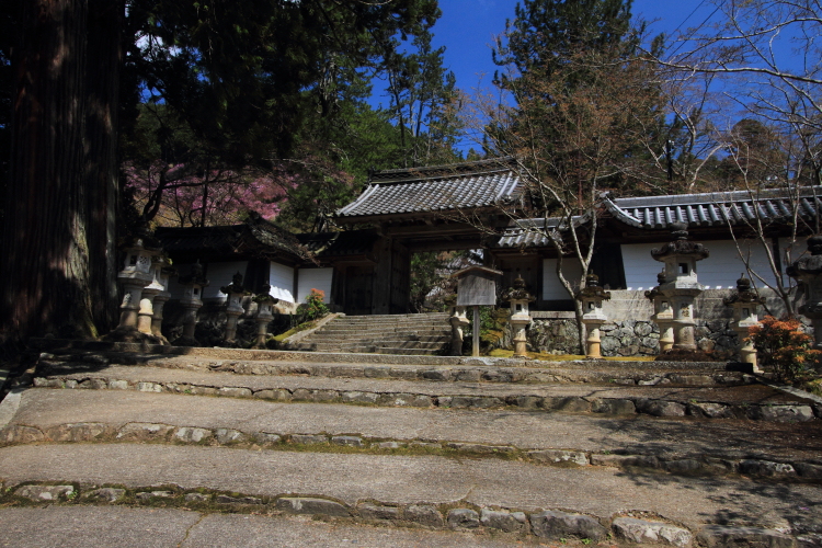 西明寺_e0051888_55218.jpg