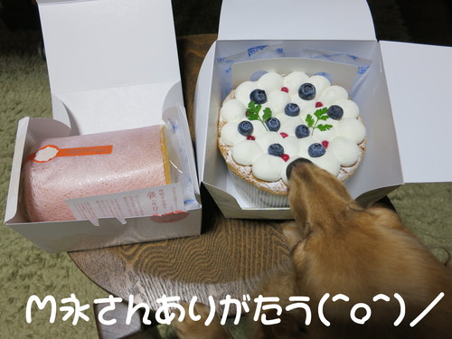 厚焼き 手巻き 銀ぶロール＆シフォンケーキ 貰ったった_b0200291_21305737.jpg