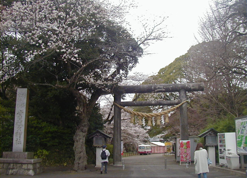 ●水戸の偕楽園、その１_d0053294_1522675.jpg