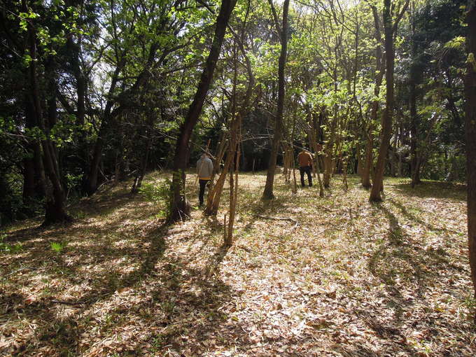 f0048597_62535.jpg
