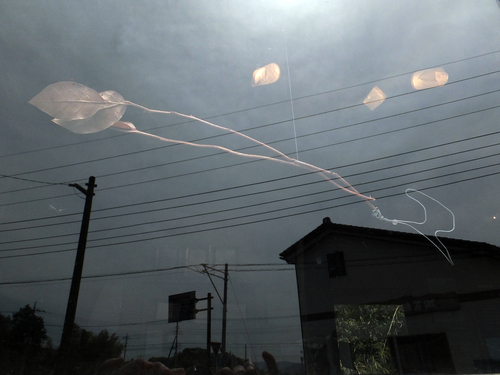 Takanori Masutani 個展「風の街」_f0155808_23574225.jpg