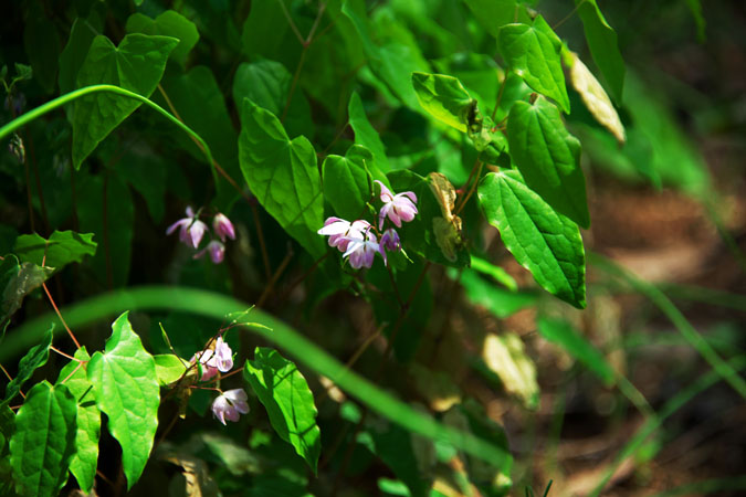 a0263109_13235639.jpg