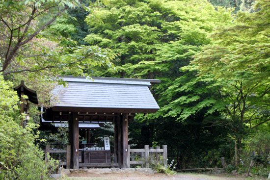 e0048413_18289.jpg