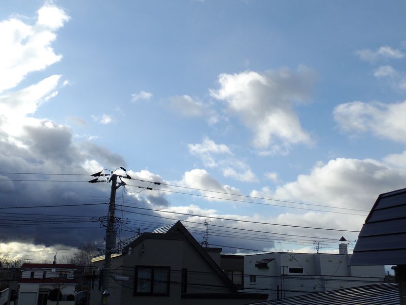 c0025115_20322441.jpg