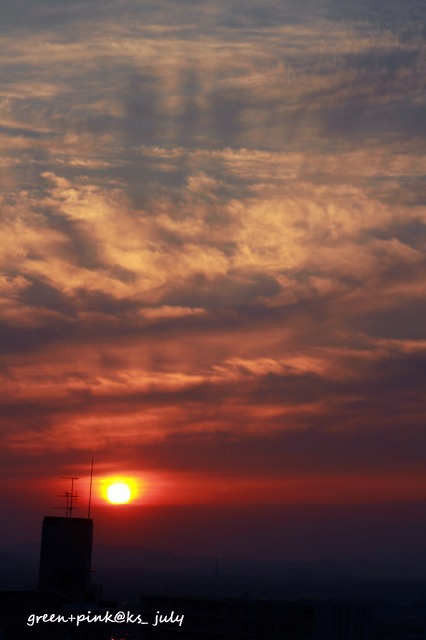 b0181125_23471549.jpg