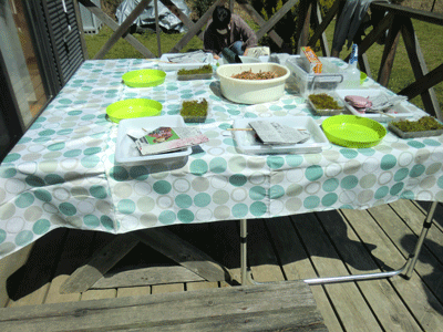 e0255026_0135856.gif
