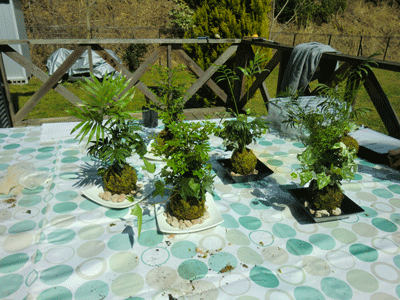 e0255026_0141378.gif