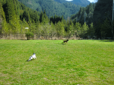 e0255026_0145789.gif