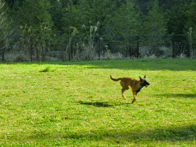 e0255026_114549.gif
