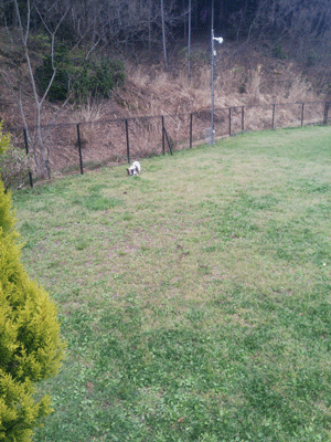 e0255026_23413165.gif